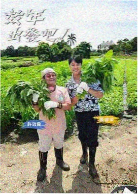 奔跑吧兄弟